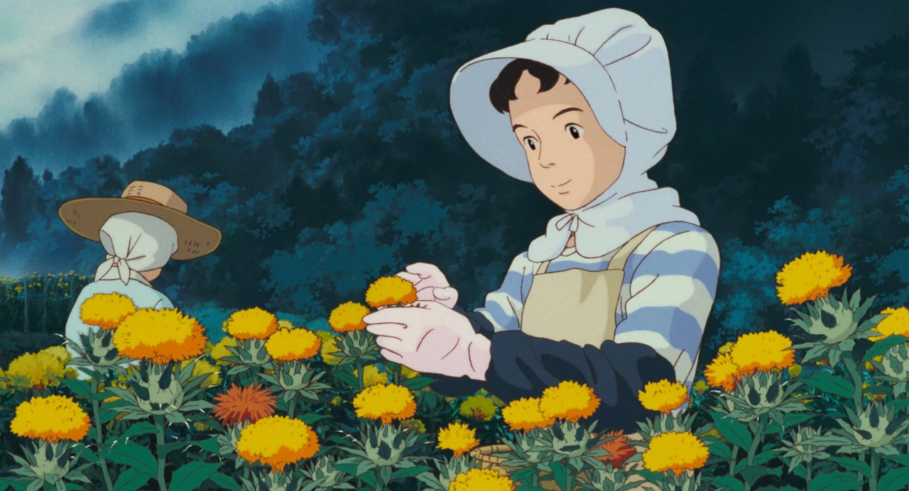 Adult Taeko picks yellow safflowers beside another worker, with wooded hills behind them.